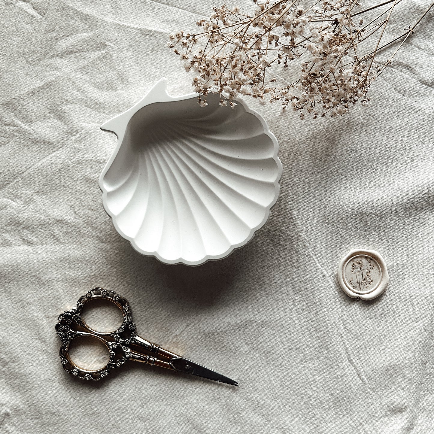 Ästhetische Muschelschale