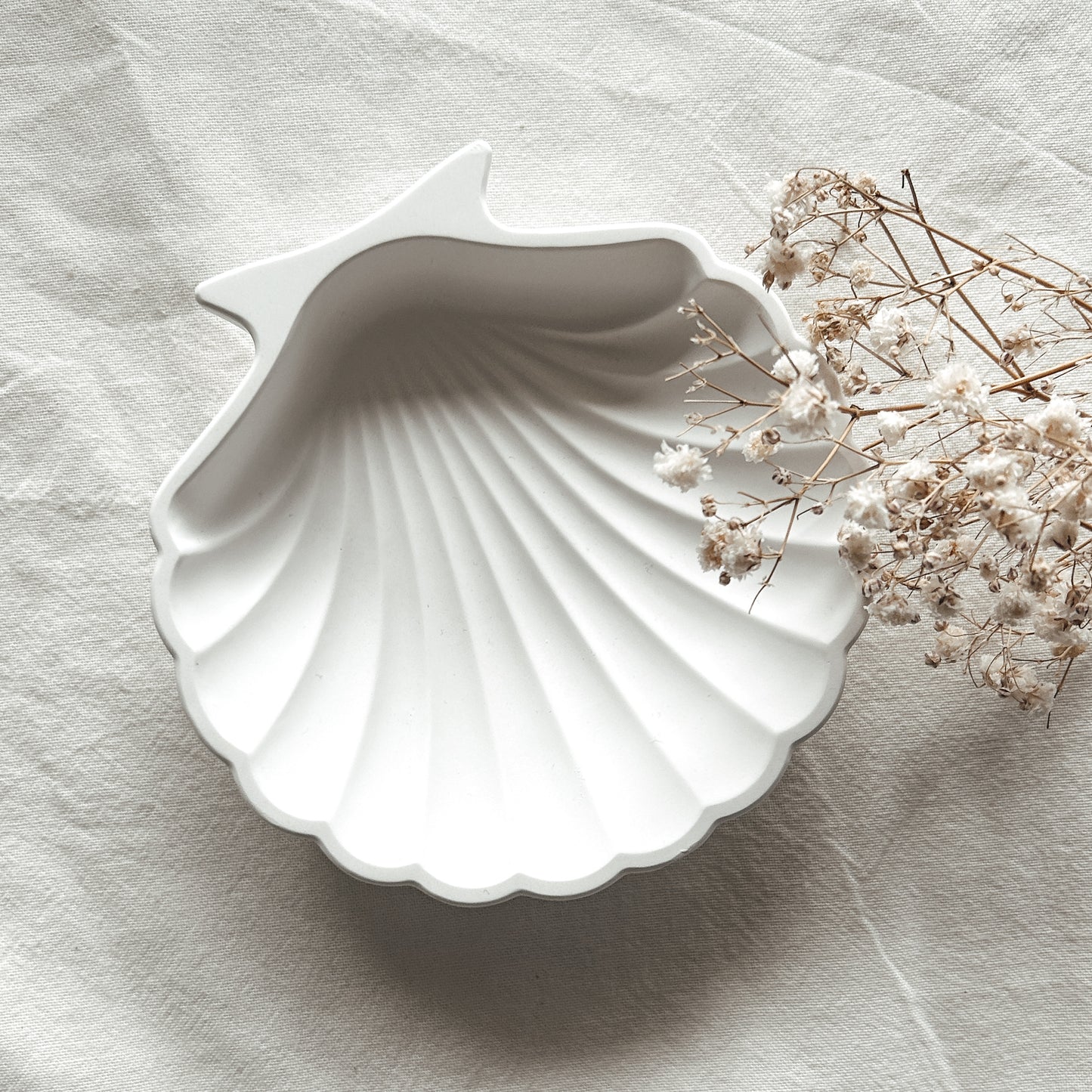 Ästhetische Muschelschale